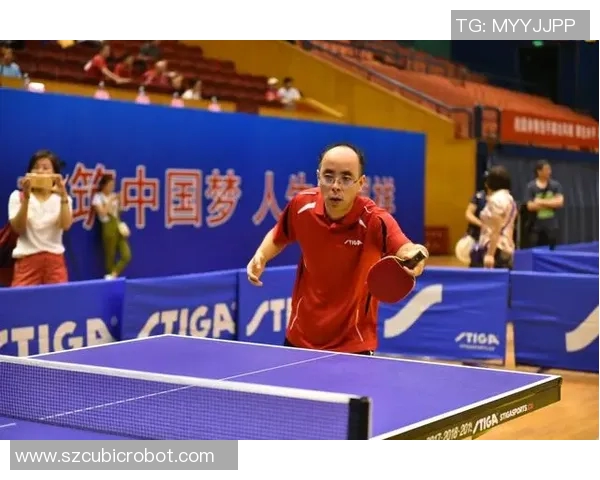 杭州乒乓球队崛起之路联合会杯背后的奋斗与荣耀