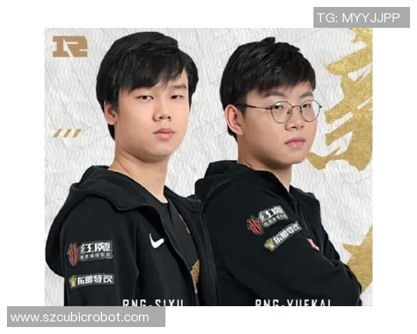 深入探讨FPX在王者荣耀比赛中的经验与战术解析