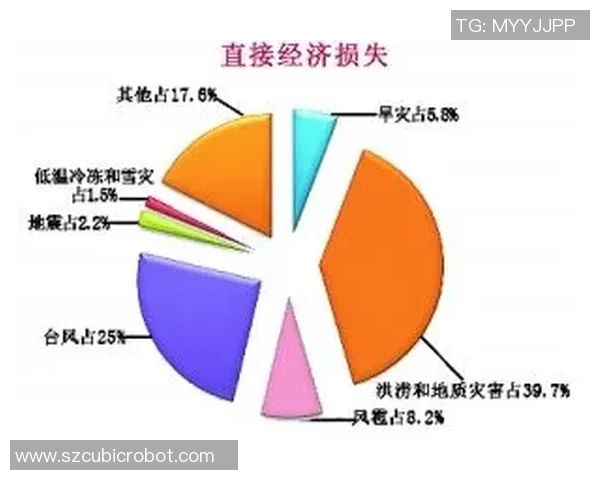 北京排球队耐力表现数据分析揭示训练效果与比赛策略的关系