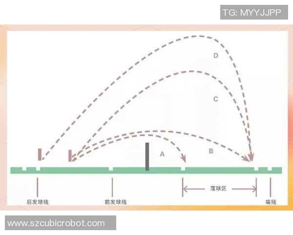 从零基础到高手:全面解析羽毛球战术与技巧的实用指南