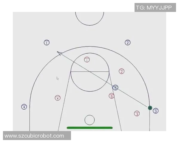 南京篮球队防守体系解析与战术运用研究