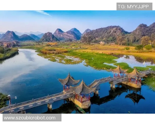 G2战队与AFC对决精彩回顾及战术分析全景呈现